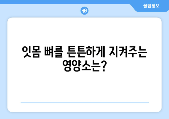 잇몸 뼈 강화를 위한 솔루션| 뼈 건강 촉진 가이드 | 잇몸 뼈 건강, 잇몸 뼈 강화제, 뼈 건강 팁