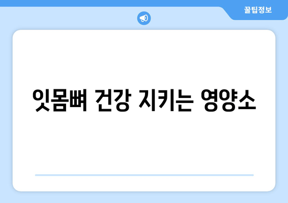 잇몸뼈 건강을 위한 필수 영양소| 치아 건강 지키는 영양제 가이드 | 잇몸뼈 영양제, 치아 건강, 영양소, 건강 정보