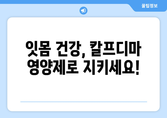 잇몸 건강을 위한 영양제 추천| 칼프디마 성분 함유 제품 비교 분석 | 잇몸 건강, 잇몸 영양제, 칼프디마, 비교