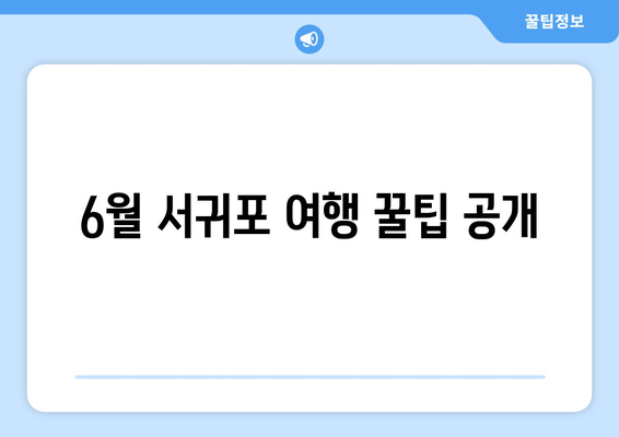 6월 서귀포 여행 꿀팁 공개