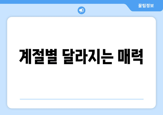 계절별 달라지는 매력