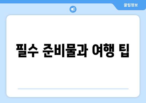 필수 준비물과 여행 팁