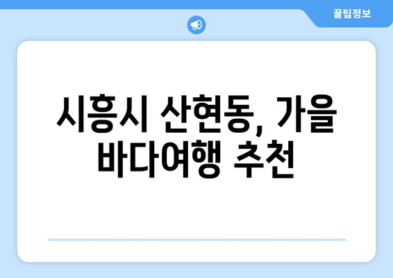 시흥시 산현동, 가을 바다여행 추천