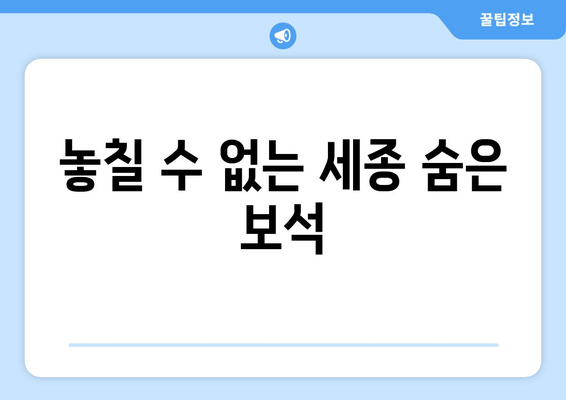 놓칠 수 없는 세종 숨은 보석