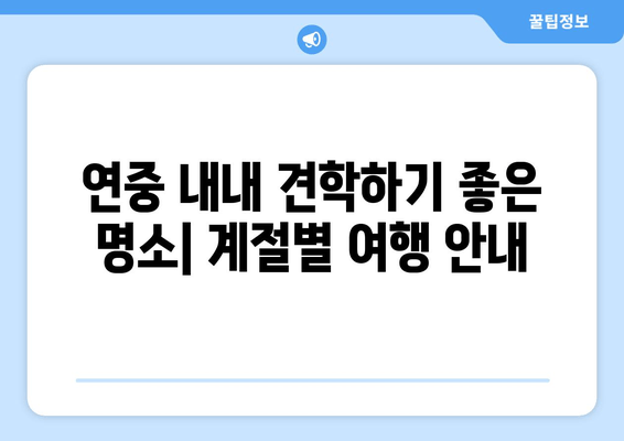 연중 내내 견학하기 좋은 명소| 계절별 여행 안내