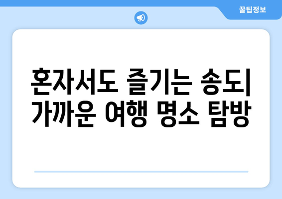 혼자서도 즐기는 송도| 가까운 여행 명소 탐방