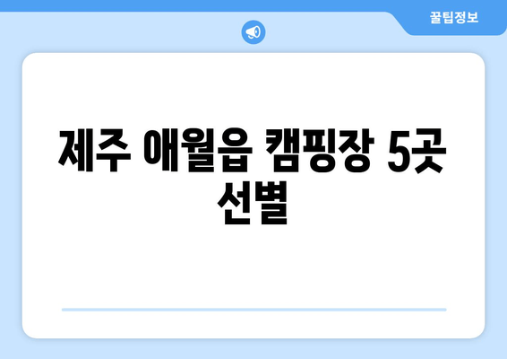 제주 애월읍 캠핑장 5곳 선별