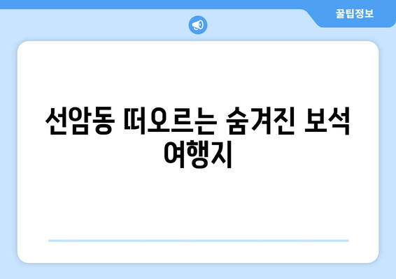 선암동 떠오르는 숨겨진 보석 여행지