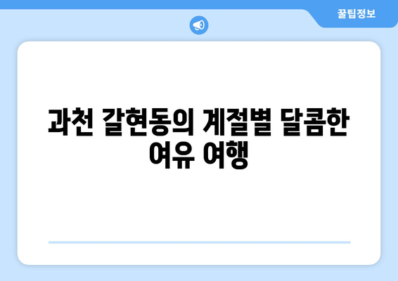 과천 갈현동의 계절별 달콤한 여유 여행