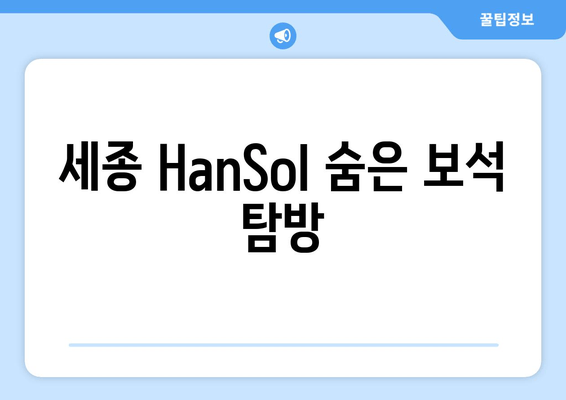 세종 HanSol 숨은 보석 탐방