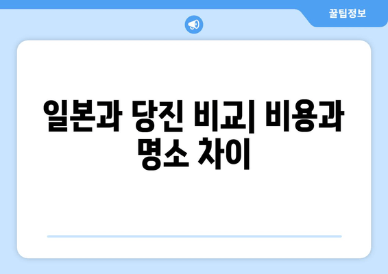 일본과 당진 비교| 비용과 명소 차이