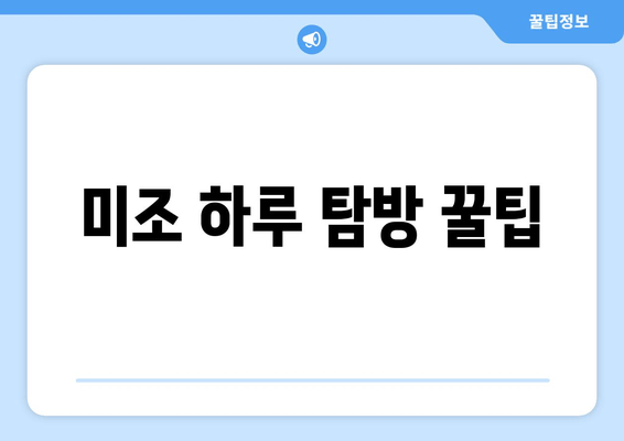 미조 하루 탐방 꿀팁