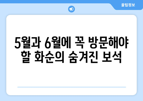 5월과 6월에 꼭 방문해야 할 화순의 숨겨진 보석