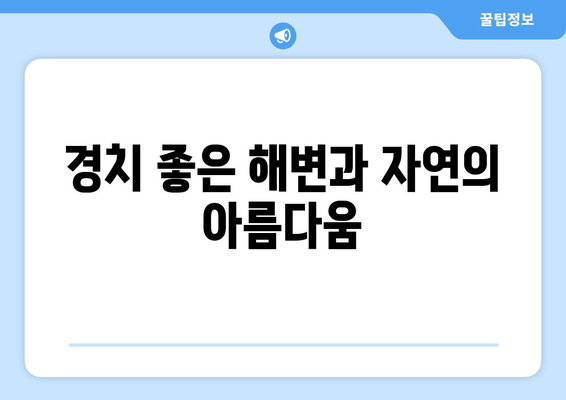 경치 좋은 해변과 자연의 아름다움