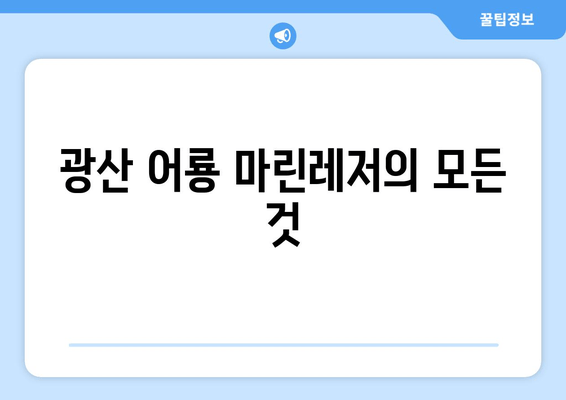 광산 어룡 마린레저의 모든 것