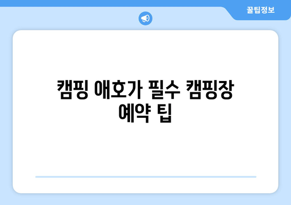 캠핑 애호가 필수 캠핑장 예약 팁