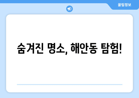 숨겨진 명소, 해안동 탐험!