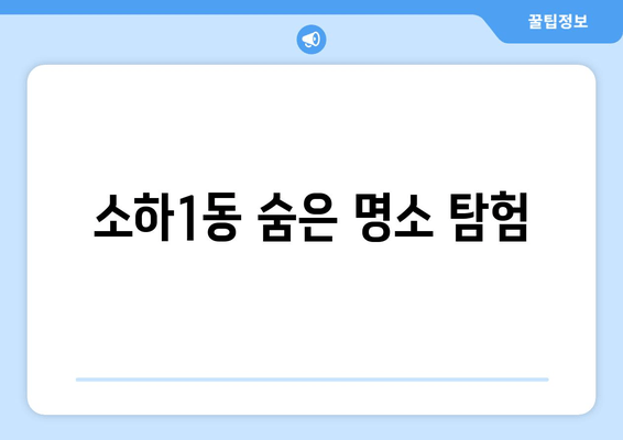 소하1동 숨은 명소 탐험