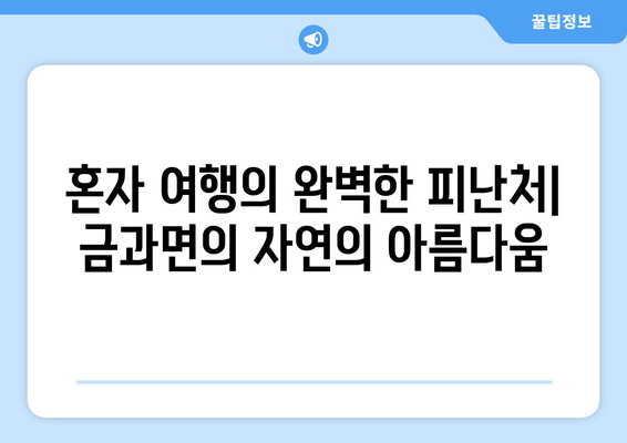 혼자 여행의 완벽한 피난처| 금과면의 자연의 아름다움