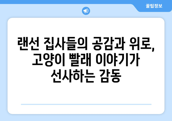 고양이와 빨래, 트위터에서 피어난 따뜻한 우정 | 랜선 집사들의 훈훈한 이야기