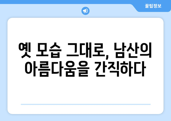 남산의 옛 모습을 담은 사진 속 시간 여행 | 추억과 역사가 살아 숨 쉬는 남산 사진 이야기