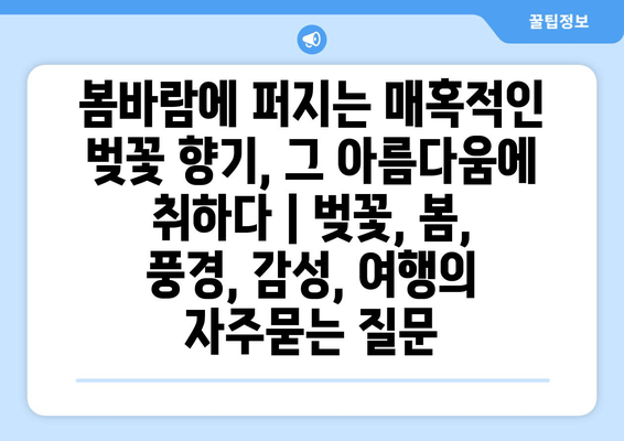 봄바람에 퍼지는 매혹적인 벚꽃 향기, 그 아름다움에 취하다 | 벚꽃, 봄, 풍경, 감성, 여행