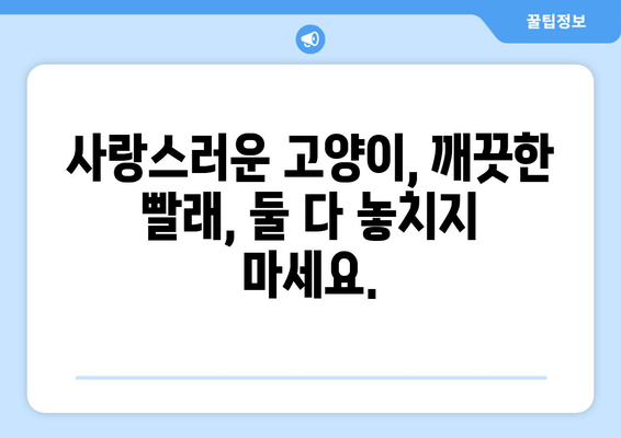 고양이와 빨래| 사랑스러운 유대감의 이야기 | 털 날림 없는 행복한 세탁 꿀팁 5가지