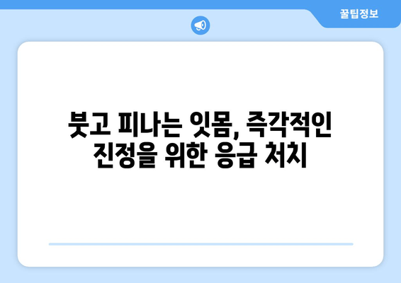 치은 붓기와 출혈, 빠르게 진정시키는 응급 처치법 | 치주염, 잇몸 관리, 치과 진료