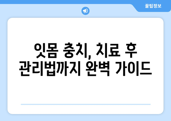 잇몸 충치 치료 경험담| 솔직한 후기와 함께 알아보는 치료 과정 | 잇몸, 충치, 치료, 경험, 후기