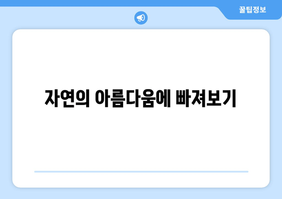 자연의 아름다움에 빠져보기