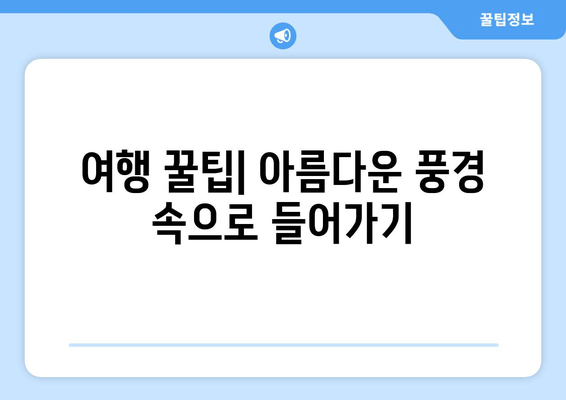 여행 꿀팁| 아름다운 풍경 속으로 들어가기