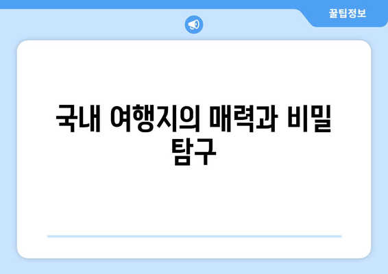 국내 여행지의 매력과 비밀 탐구