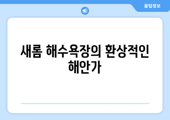 새롬 해수욕장의 환상적인 해안가