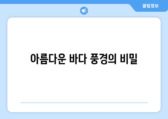 아름다운 바다 풍경의 비밀