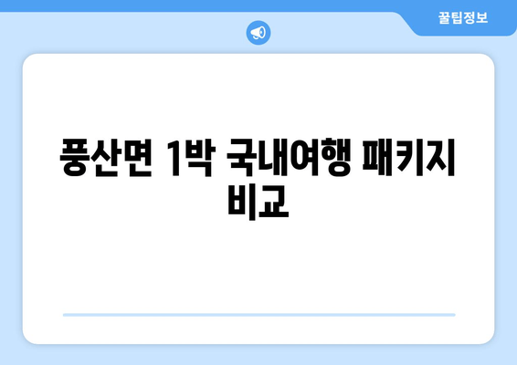 풍산면 1박 국내여행 패키지 비교