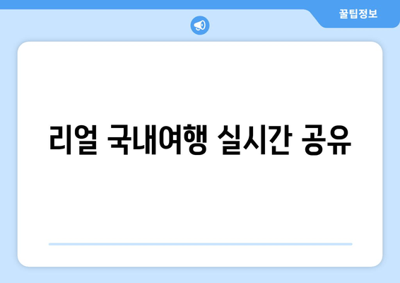 리얼 국내여행 실시간 공유