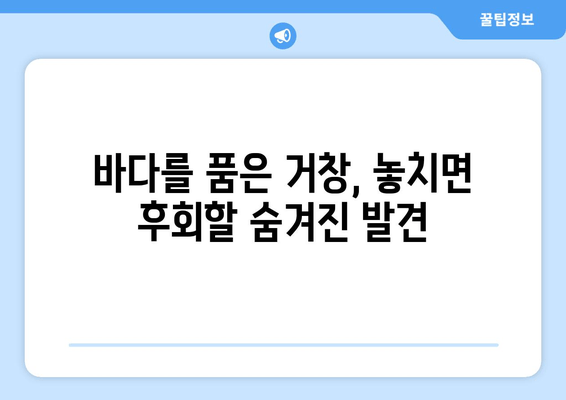 바다를 품은 거창, 놓치면 후회할 숨겨진 발견