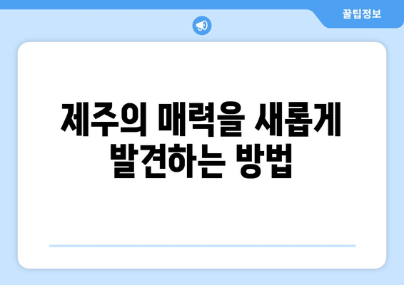 제주의 매력을 새롭게 발견하는 방법