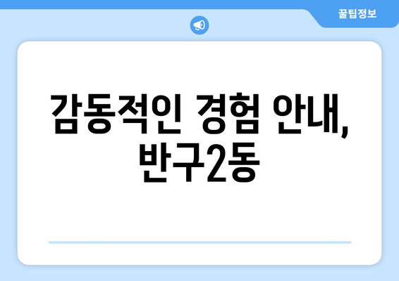 감동적인 경험 안내, 반구2동