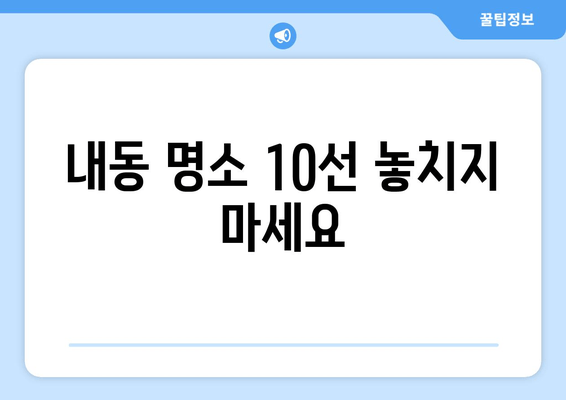 내동 명소 10선 놓치지 마세요