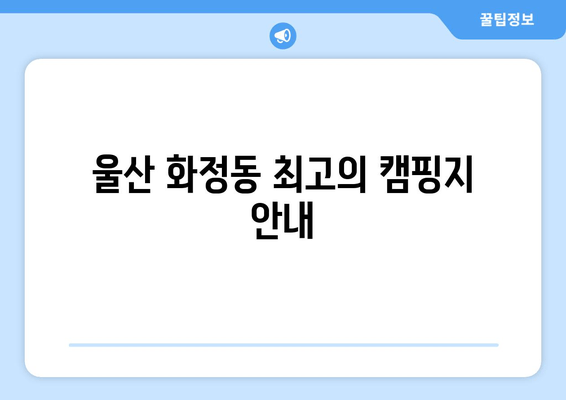 울산 화정동 최고의 캠핑지 안내