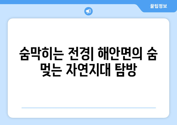 숨막히는 전경| 해안면의 숨 멎는 자연지대 탐방