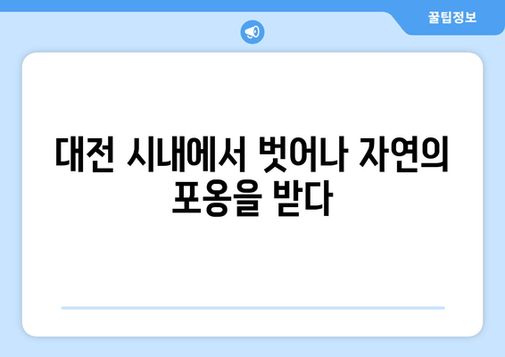 대전 시내에서 벗어나 자연의 포옹을 받다