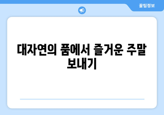 대자연의 품에서 즐거운 주말 보내기