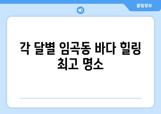 각 달별 임곡동 바다 힐링 최고 명소