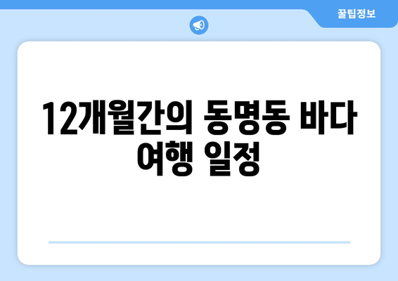 12개월간의 동명동 바다 여행 일정