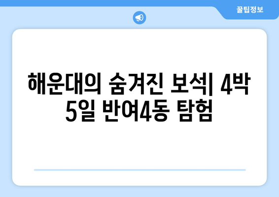 해운대의 숨겨진 보석| 4박 5일 반여4동 탐험