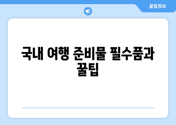 국내 여행 준비물 필수품과 꿀팁