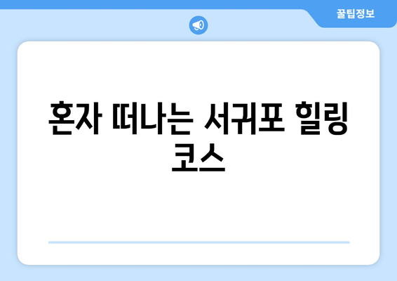 혼자 떠나는 서귀포 힐링 코스