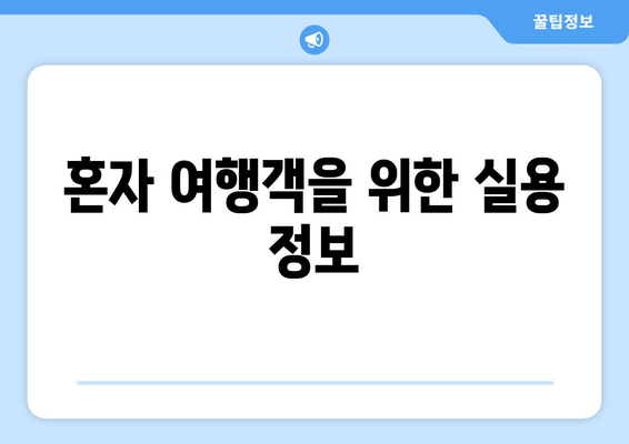 혼자 여행객을 위한 실용 정보